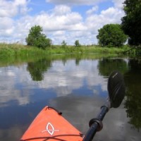 Kayak Safari