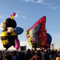 Get high, very high at the balloon festival