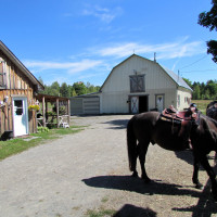 Horse riding at La Clef Des Champs ranch