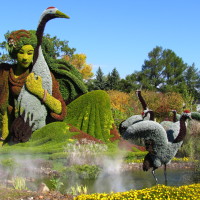 International Mosaicultures expo at the Botanical Garden